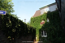 fotografie-61