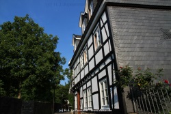 fotografie-155