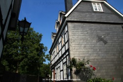 fotografie-14