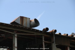 fotografie-19