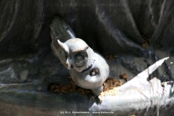 fotografie-17