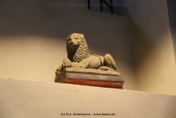 fotografie-21