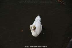 fotografie-153