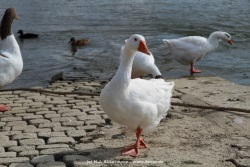 fotografie-194