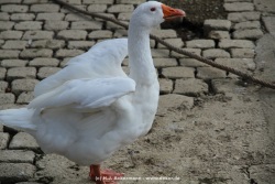 fotografie-189