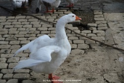 fotografie-107