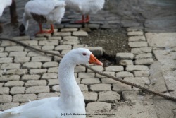 fotografie-198
