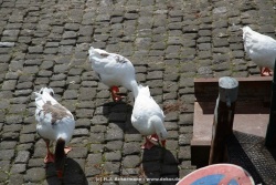 fotografie-168