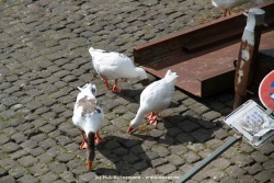 fotografie-157