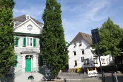 fotografie-5