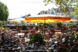 fotografie-12