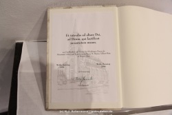 fotografie-155