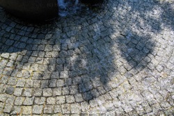 fotografie-2