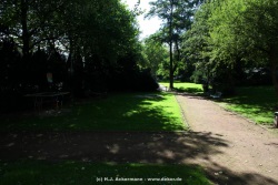 fotografie-26