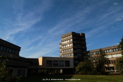fotografie-71