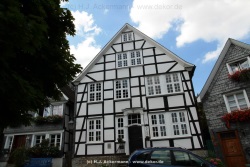 fotografie-14