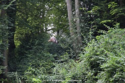 fotografie-44