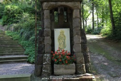 fotografie-6