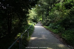 fotografie-8