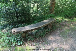 fotografie-19