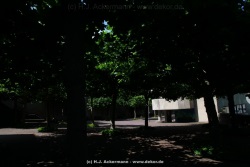 fotografie-15
