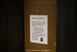fotografie-36