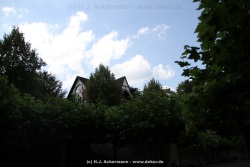 fotografie-23
