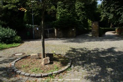fotografie-198