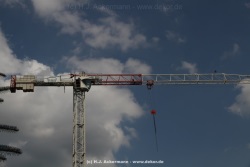 fotografie-42