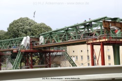 fotografie-16