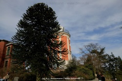 fotografie-44