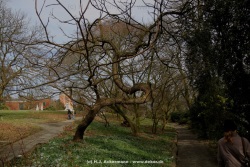 fotografie-47