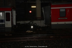 fotografie-19
