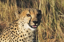 fotografie-36