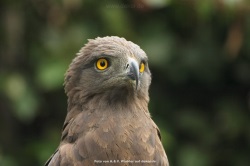 fotografie-56