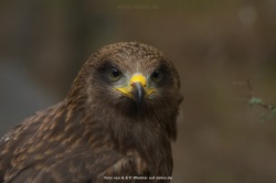fotografie-130