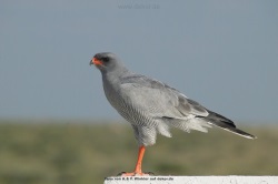 fotografie-10