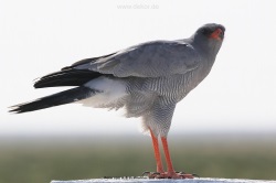 fotografie-31