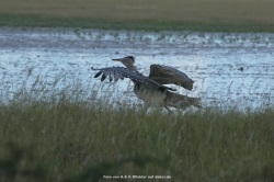 fotografie-16