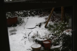 fotografie-10