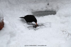 fotografie-25
