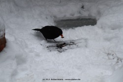 fotografie-26