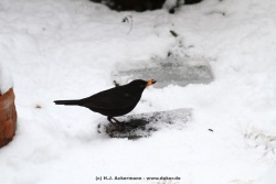 fotografie-30