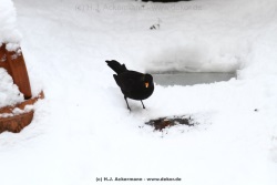 fotografie-40