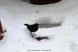 fotografie-43