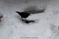 fotografie-44