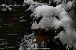 fotografie-10