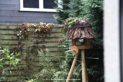fotografie-1