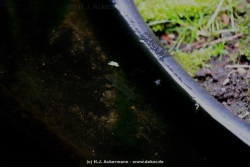fotografie-6