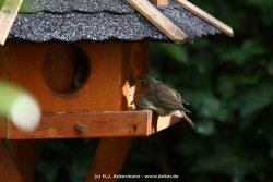 fotografie-30